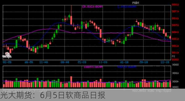 光大期货：6月5日软商品日报