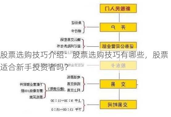 股票选购技巧介绍：股票选购技巧有哪些，股票适合新手投资者吗？