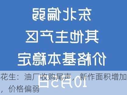 花生：油厂收购尾声，新作面积增加，价格偏弱