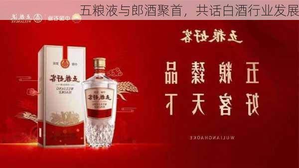 五粮液与郎酒聚首，共话白酒行业发展