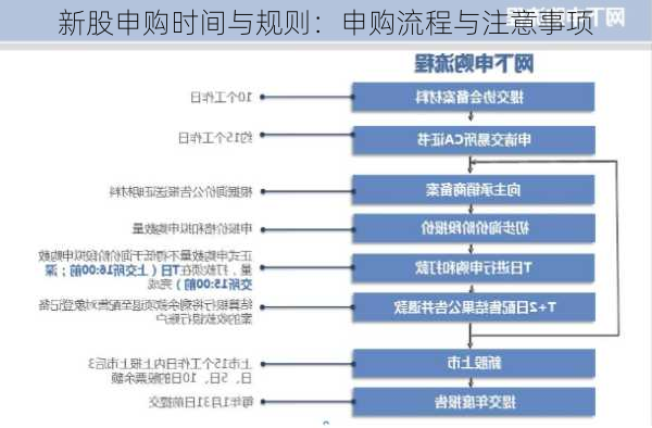 新股申购时间与规则：申购流程与注意事项