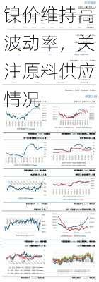 镍价维持高波动率，关注原料供应情况