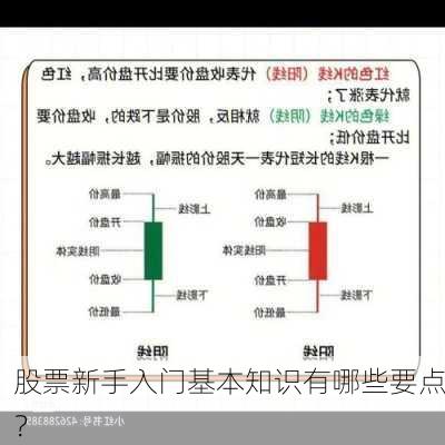 股票新手入门基本知识有哪些要点？