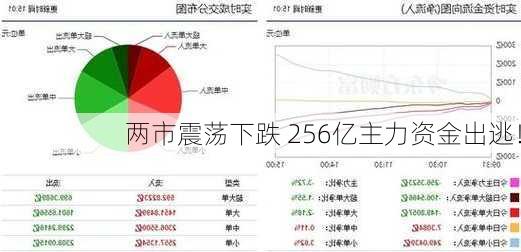 两市震荡下跌 256亿主力资金出逃！