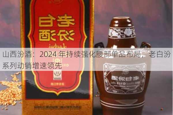 山西汾酒：2024 年持续强化腰部单品布局，老白汾系列动销增速领先