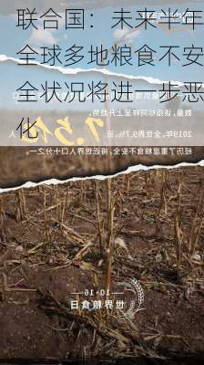 联合国：未来半年全球多地粮食不安全状况将进一步恶化