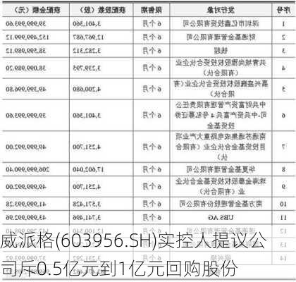 威派格(603956.SH)实控人提议公司斥0.5亿元到1亿元回购股份