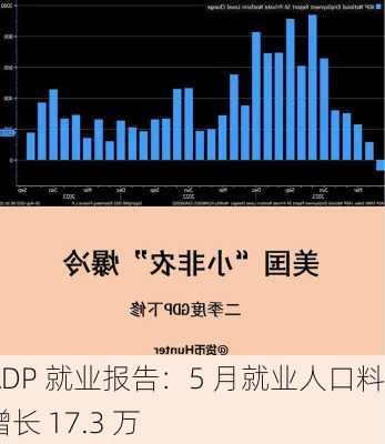 ADP 就业报告：5 月就业人口料增长 17.3 万