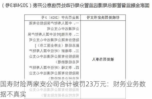 国寿财险两家支公司合计被罚23万元：财务业务数据不真实