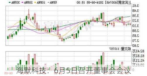 海默科技：6月5日召开董事会会议