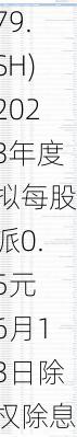 友车科技(688479.SH)2023年度拟每股派0.5元 6月13日除权除息