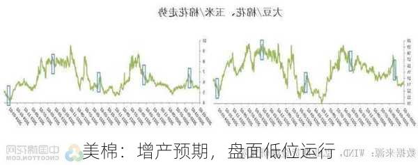 美棉：增产预期，盘面低位运行