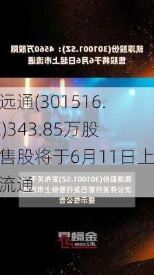 中远通(301516.SZ)343.85万股限售股将于6月11日上市流通