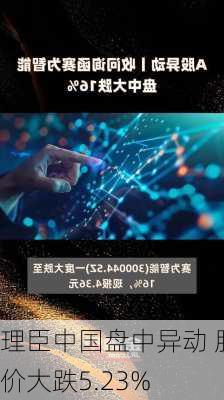 理臣中国盘中异动 股价大跌5.23%