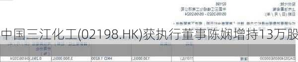 中国三江化工(02198.HK)获执行董事陈娴增持13万股