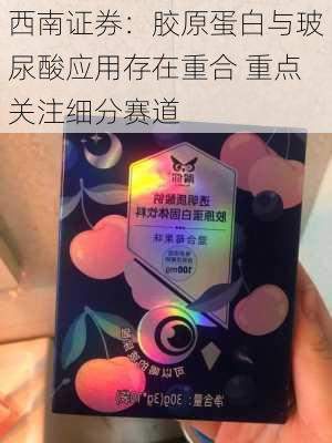 西南证券：胶原蛋白与玻尿酸应用存在重合 重点关注细分赛道