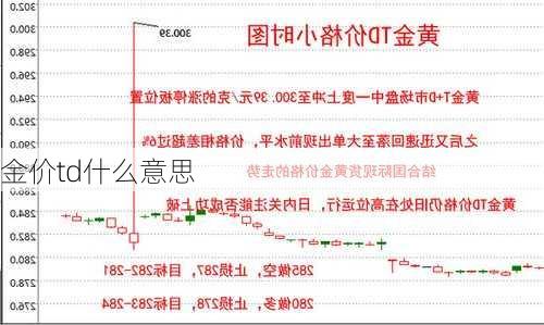 金价td什么意思