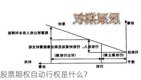 股票期权自动行权是什么？