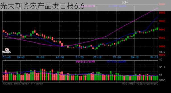 光大期货农产品类日报6.6