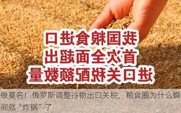 很莫名！俄罗斯调整谷物出口关税，粮食圈为什么瞬间就“炸锅”了