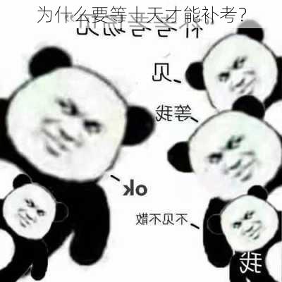 为什么要等十天才能补考？