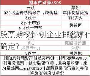 股票期权计划企业排名如何确定？