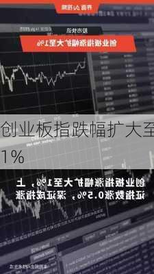 创业板指跌幅扩大至1%