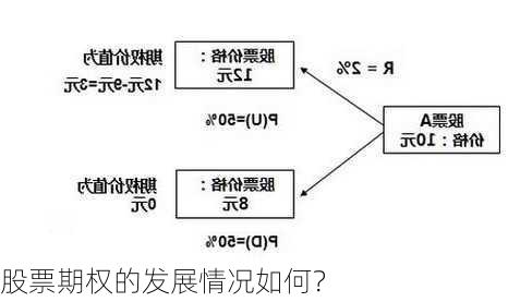 股票期权的发展情况如何？