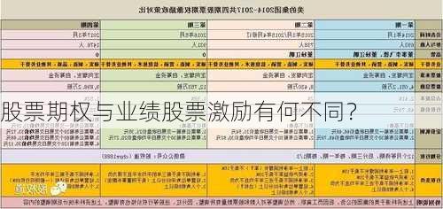 股票期权与业绩股票激励有何不同？