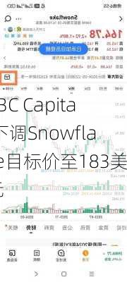 RBC Capital下调Snowflake目标价至183美元