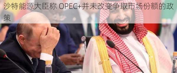 沙特能源大臣称 OPEC+并未改变争取市场份额的政策