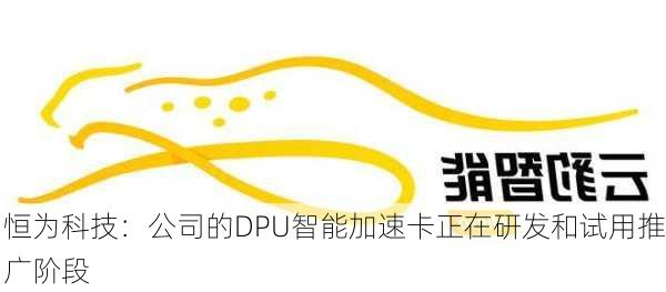 恒为科技：公司的DPU智能加速卡正在研发和试用推广阶段