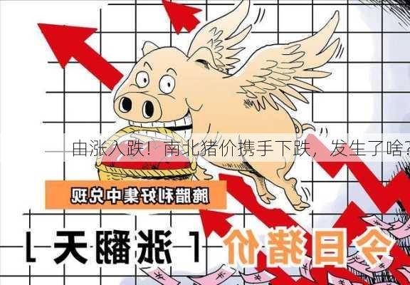 由涨入跌！南北猪价携手下跌，发生了啥？