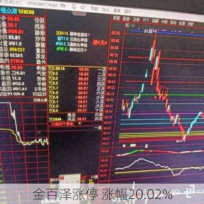 金百泽涨停 涨幅20.02%