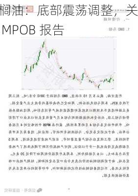 棕榈油：底部震荡调整，关注 MPOB 报告