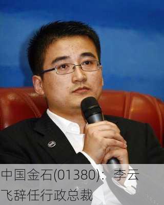 中国金石(01380)：李云飞辞任行政总裁