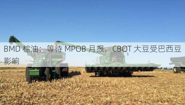 BMD 棕油：等待 MPOB 月报，CBOT 大豆受巴西豆影响