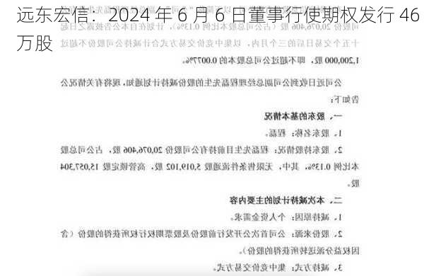 远东宏信：2024 年 6 月 6 日董事行使期权发行 46 万股