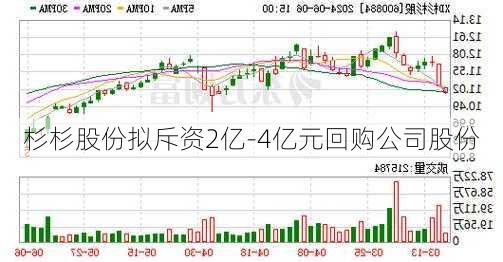 杉杉股份拟斥资2亿-4亿元回购公司股份