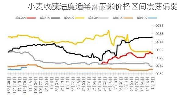 小麦收获进度近半，玉米价格区间震荡偏弱