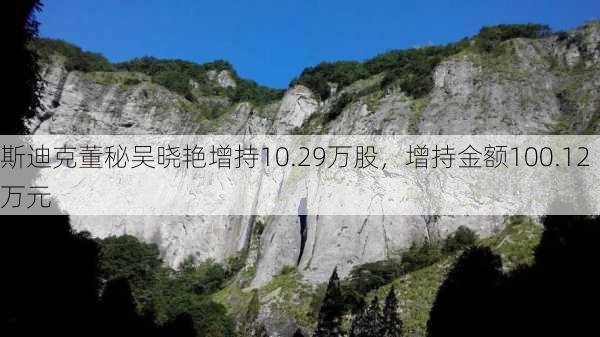 斯迪克董秘吴晓艳增持10.29万股，增持金额100.12万元