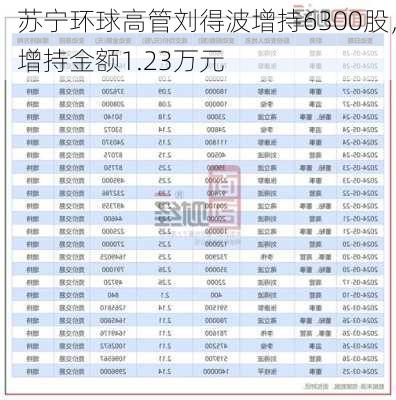 苏宁环球高管刘得波增持6300股，增持金额1.23万元