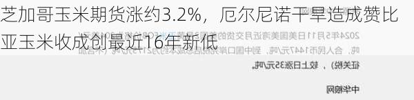 芝加哥玉米期货涨约3.2%，厄尔尼诺干旱造成赞比亚玉米收成创最近16年新低