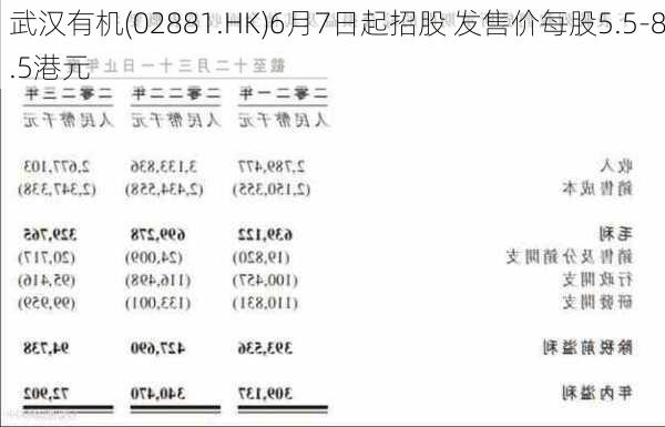 武汉有机(02881.HK)6月7日起招股 发售价每股5.5-8.5港元