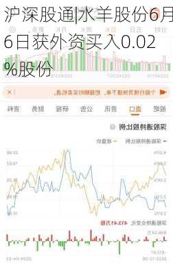 沪深股通|水羊股份6月6日获外资买入0.02%股份