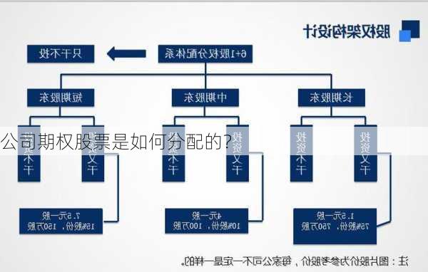 公司期权股票是如何分配的？