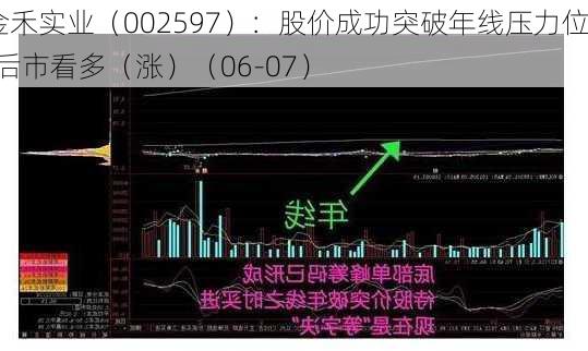 金禾实业（002597）：股价成功突破年线压力位-后市看多（涨）（06-07）