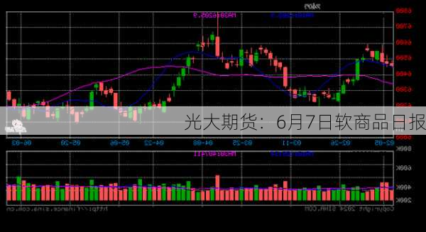 光大期货：6月7日软商品日报