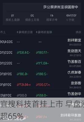 宜搜科技首挂上市 早盘涨超65%