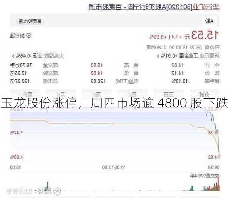 玉龙股份涨停，周四市场逾 4800 股下跌